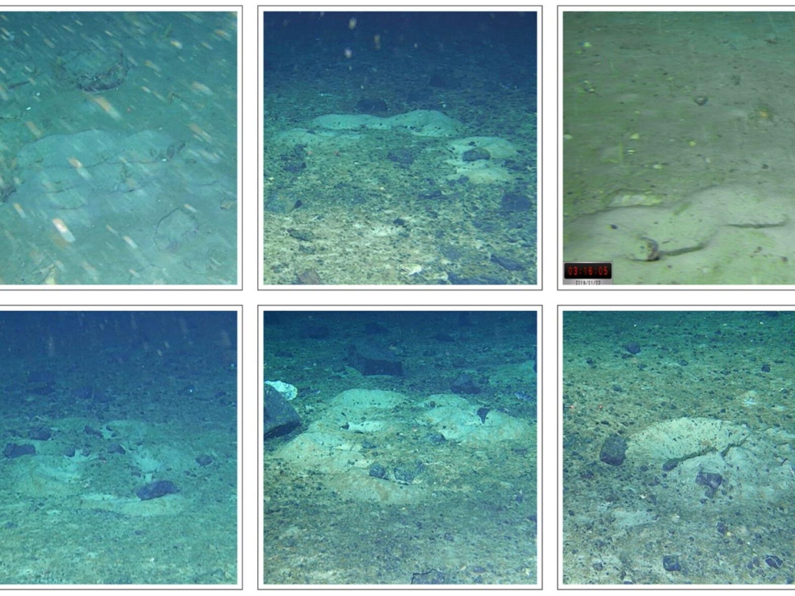 Underwater robot discovers icefish nests while searching for lost ship